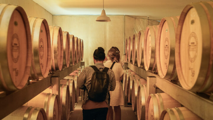 L’élevage du vin en barrique et amphore à Saint-Émilion