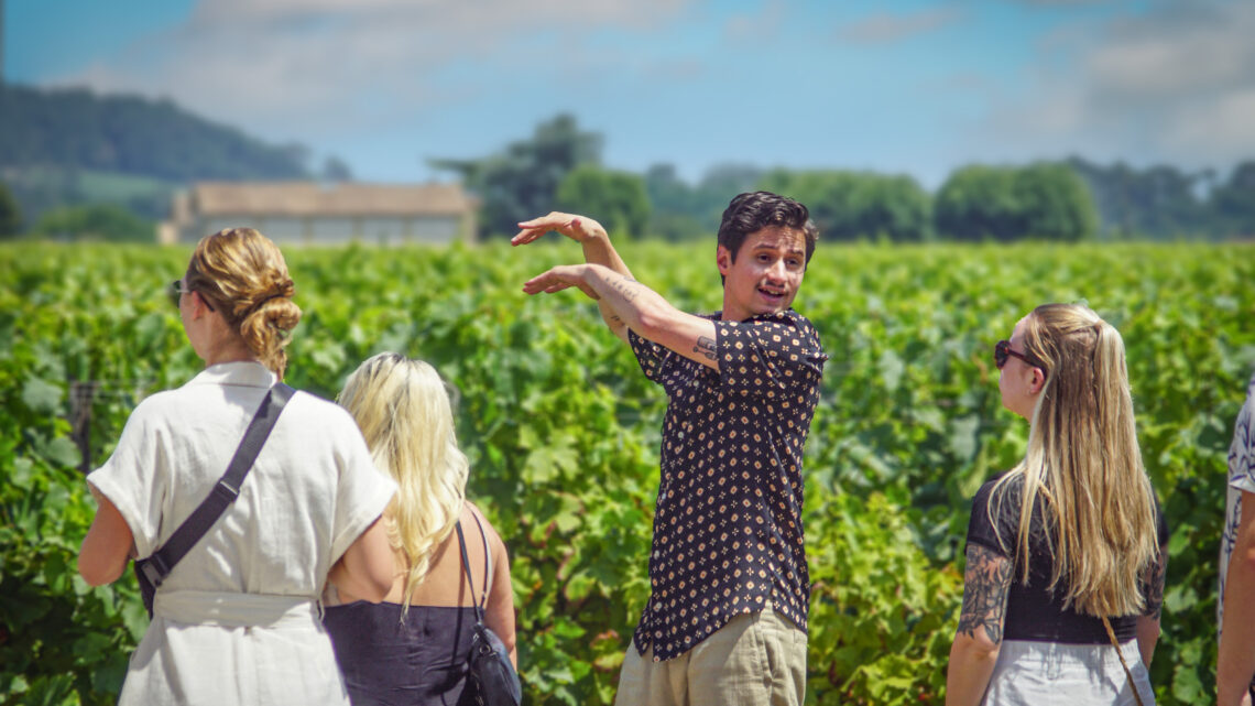 Visite et dégustation dans un domaine viticole à Saint-Émilion