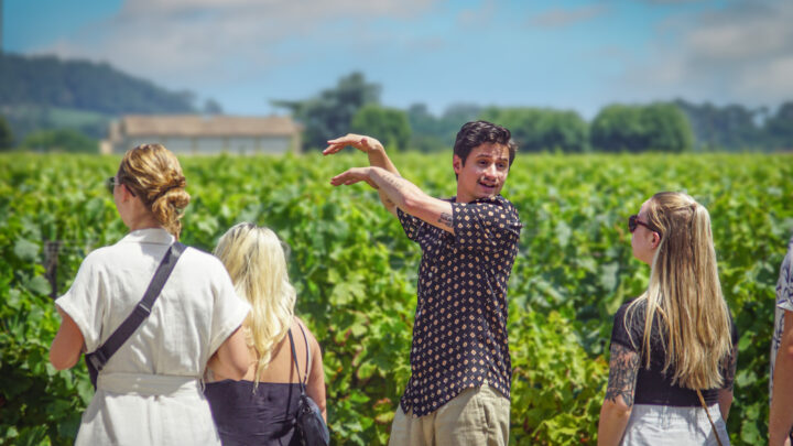 Visite et dégustation dans un domaine viticole à Saint-Émilion